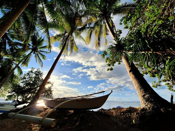 Où trouver les meilleurs spots pour la plongée avec tuba en Polynésie française : équipements et périodes recommandées ?