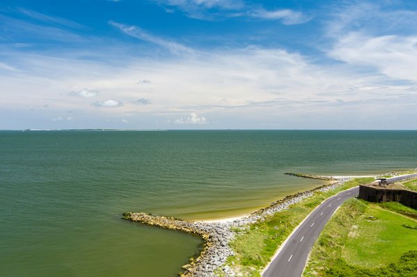 Quels sont les meilleurs spots pour observer les dauphins roses en Amazonie : périodes et lieux recommandés ?